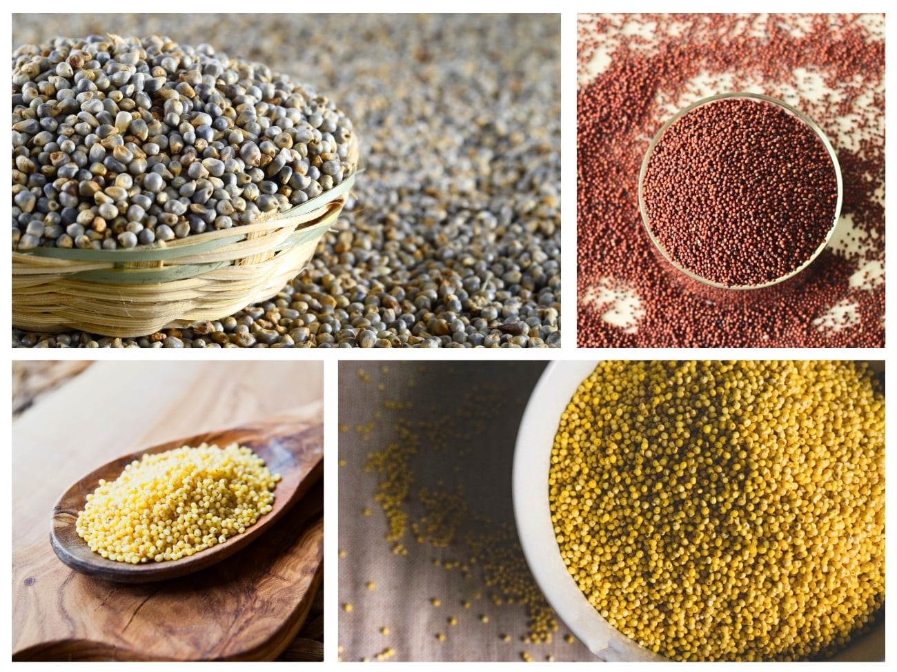 11 Types of Millet: Flavors, Textures, and How to Use Them
