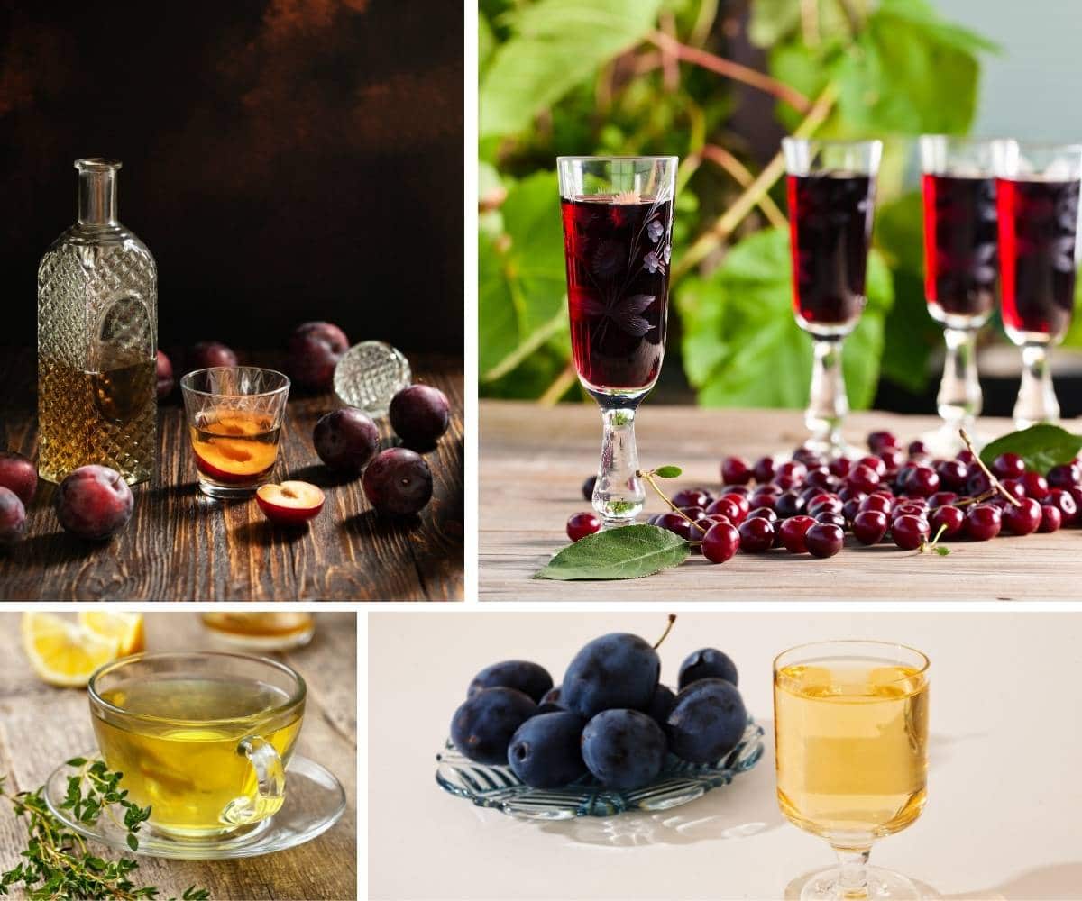 11 Popular Macedonian Drinks