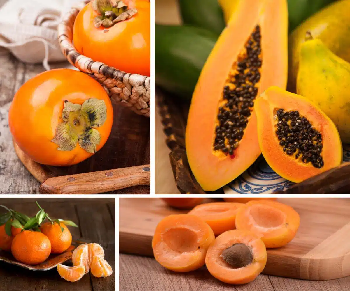 20 Stunning Orange Fruits To Try Out - Chef's Pencil