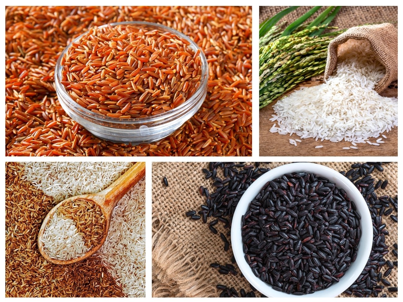 20 Types of Rice and When to Use Them