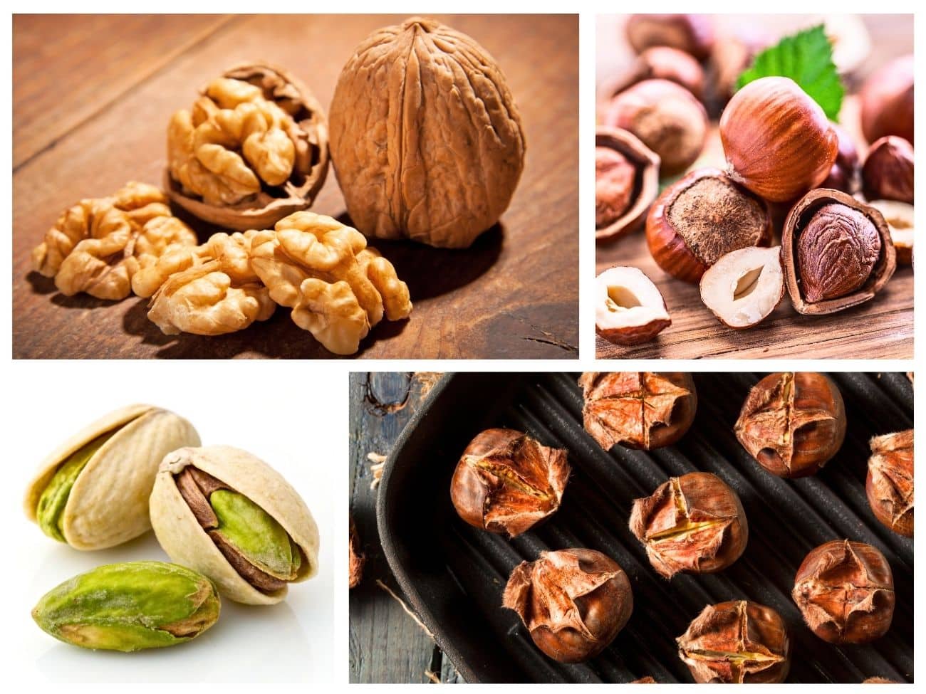 23 Types of Nuts, From Kitchen Staples to Hidden Gems