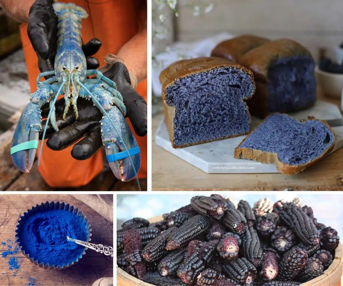 Natural Blue Food Coloring from a Surprising Source