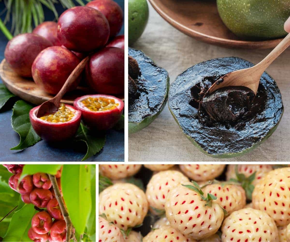 25 Tropical Fruits You Need to Try At Least Once