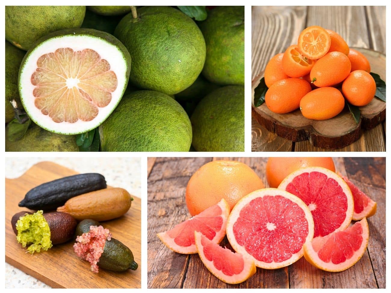 40 Types of Citrus