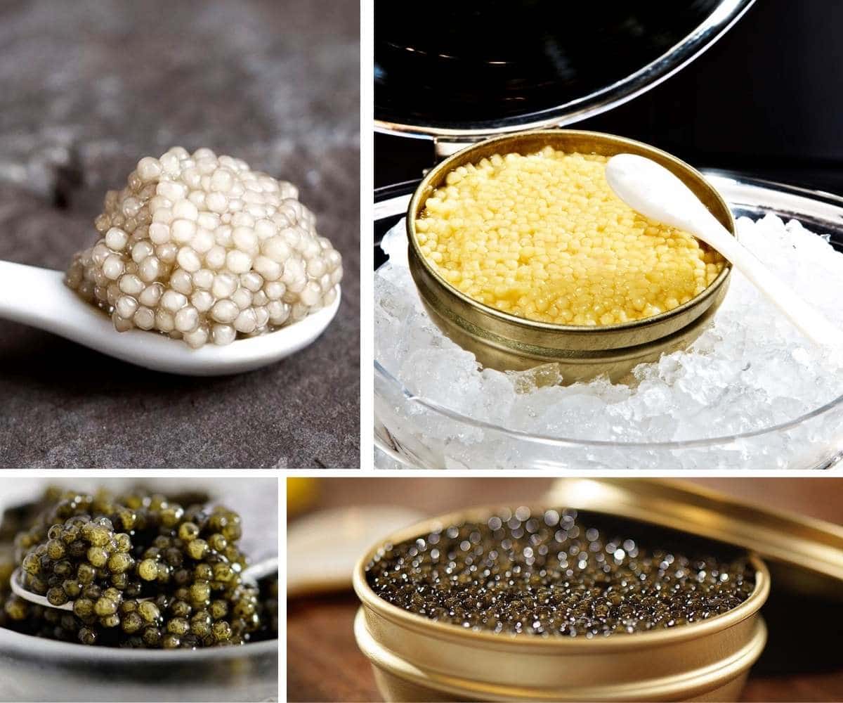 Um guia para iniciantes de caviar