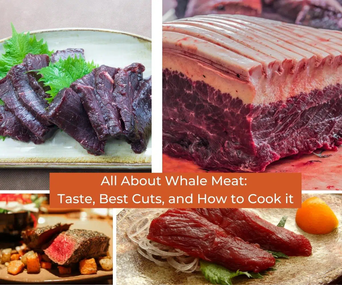 All About Whale Meat