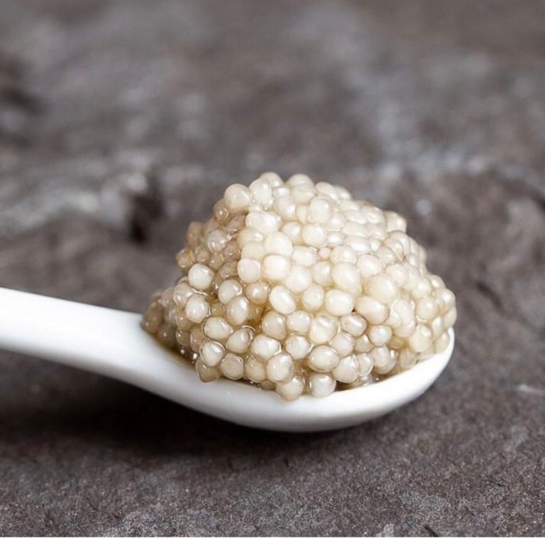 Expensive Fish Roe Most Expensive Seafood in the World - Chef's Pencil