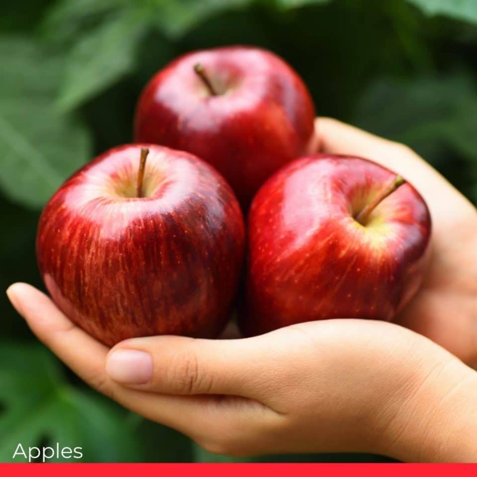 التفاح - فاكهة ممنوعة أم نذير حب؟