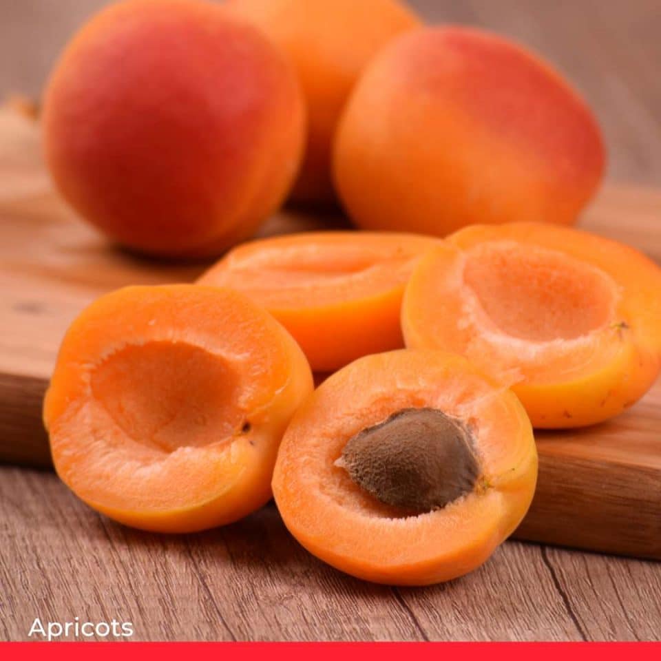 Apricots