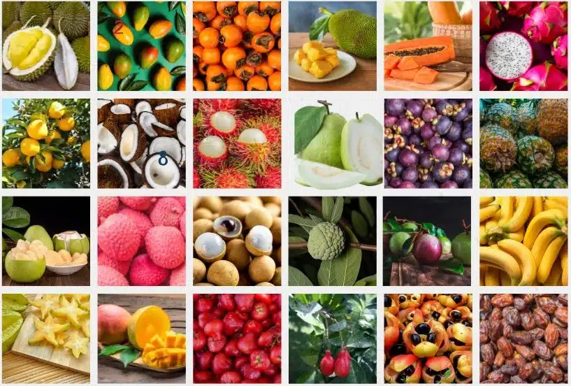 Popular Asian Fruits