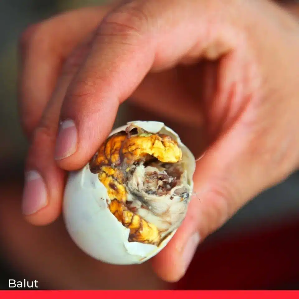 Balut – Philippines