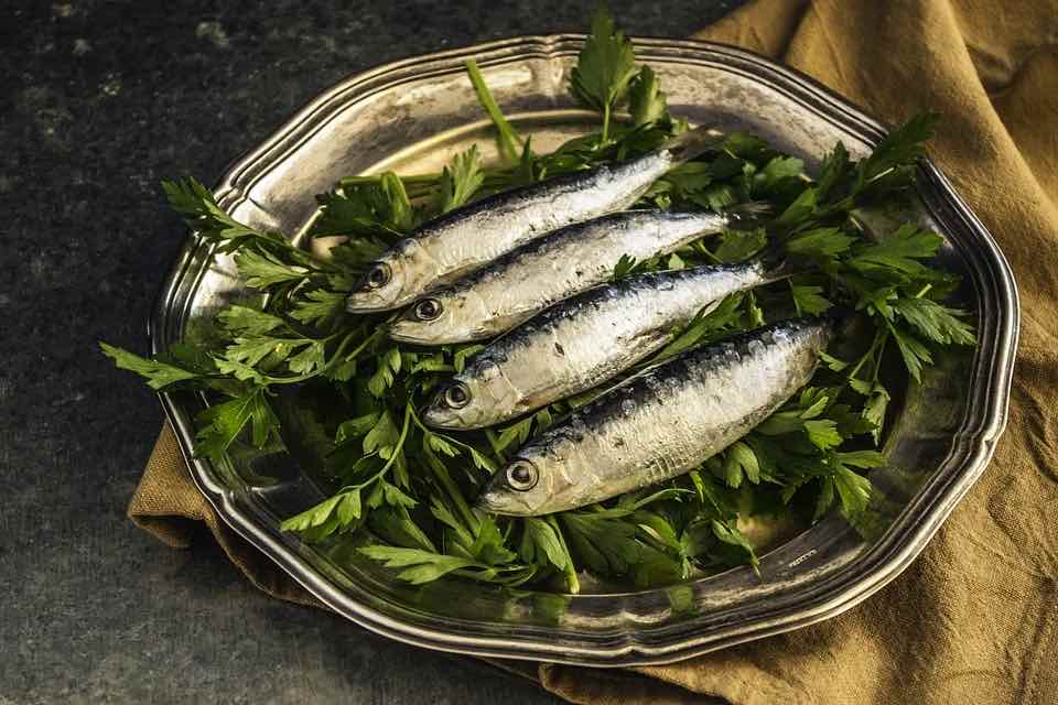Best 10 Canned Sardines