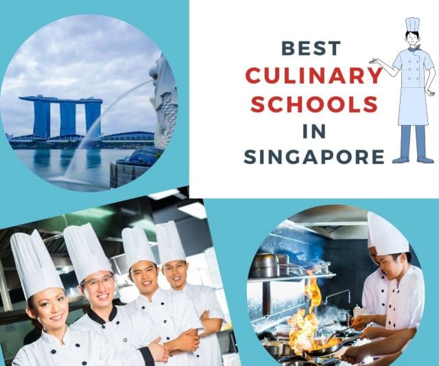 Best Culinary Schools in Singapore Chef's Pencil