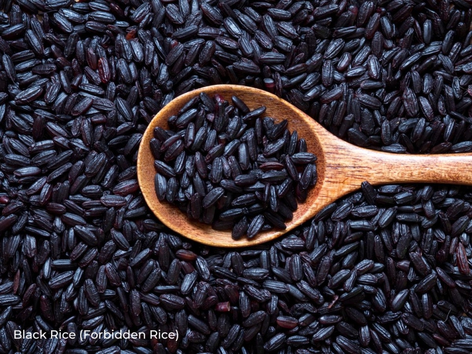 23 Types of Rice and When to Use Them