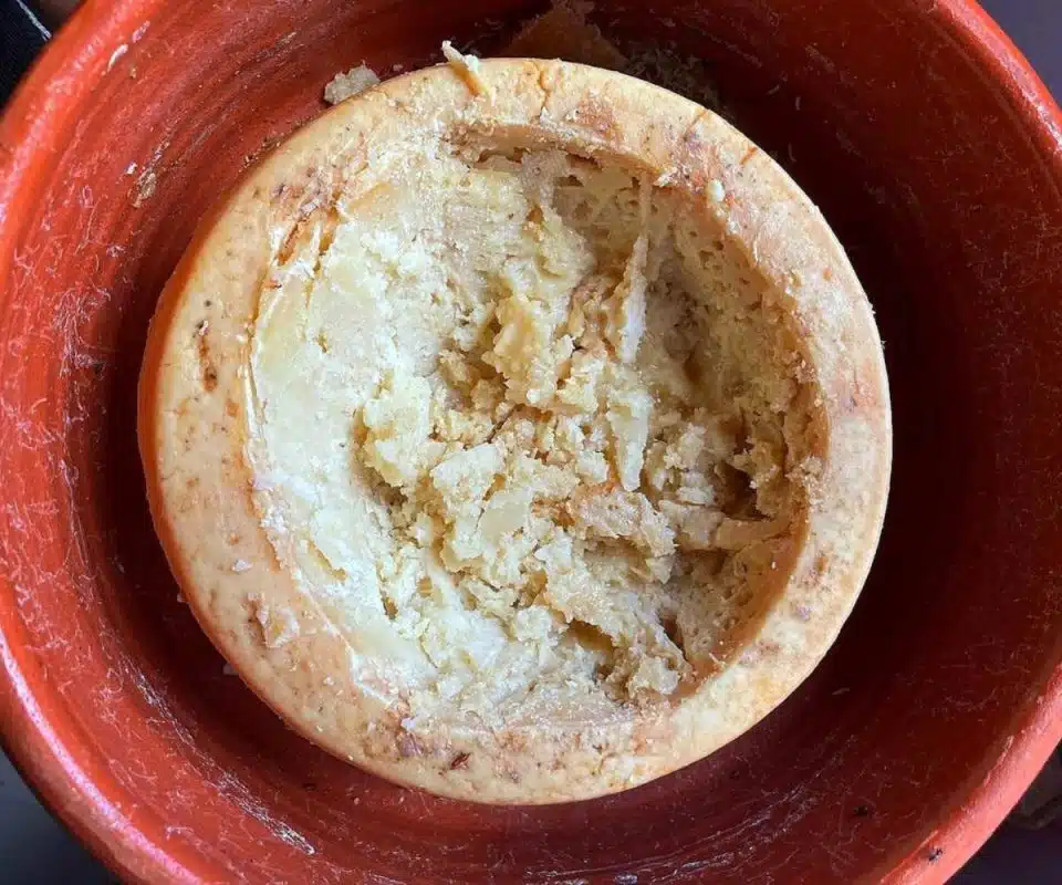 Casu Marzu (Maggot Cheese) – Italy