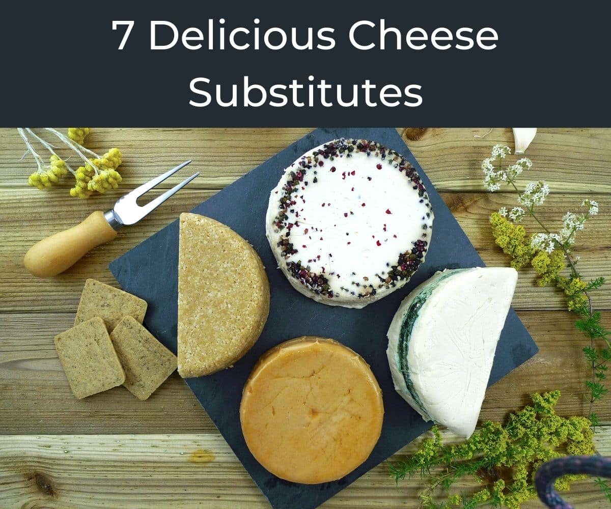 Cheese Substitutes