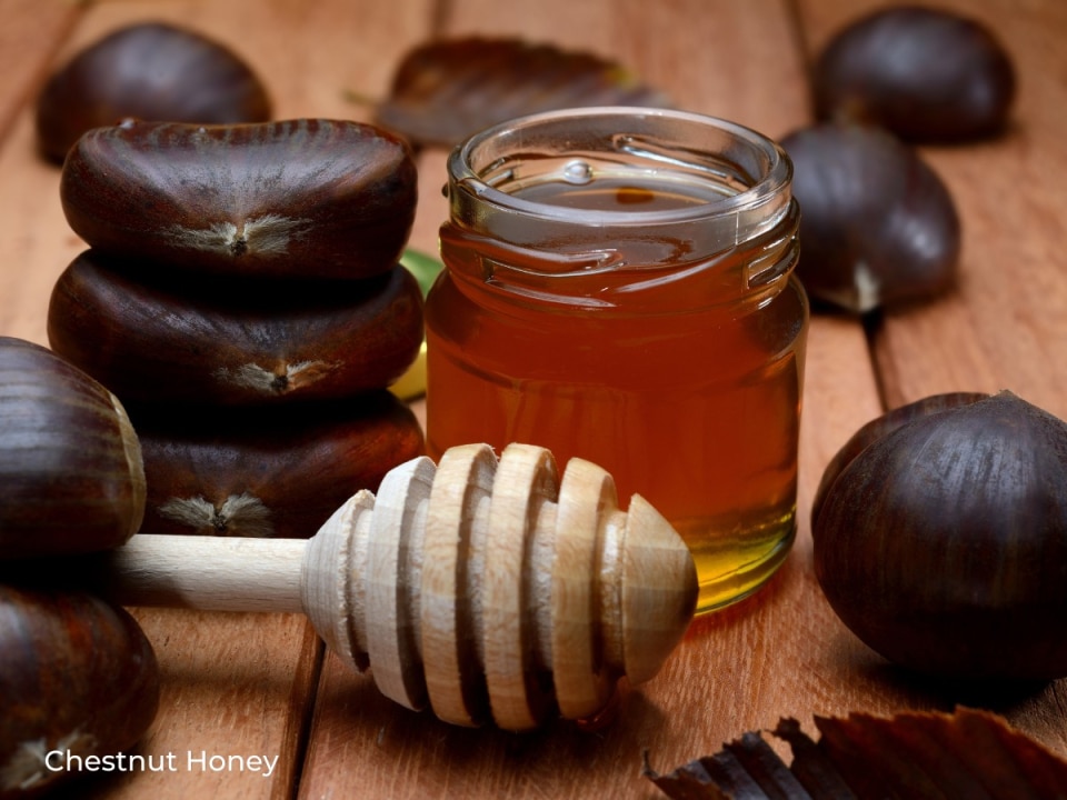 Chestnut Honey
