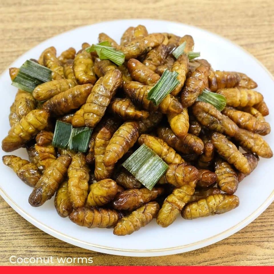10 of the world's weirdest and grossest national delicacies to try - if you dare
