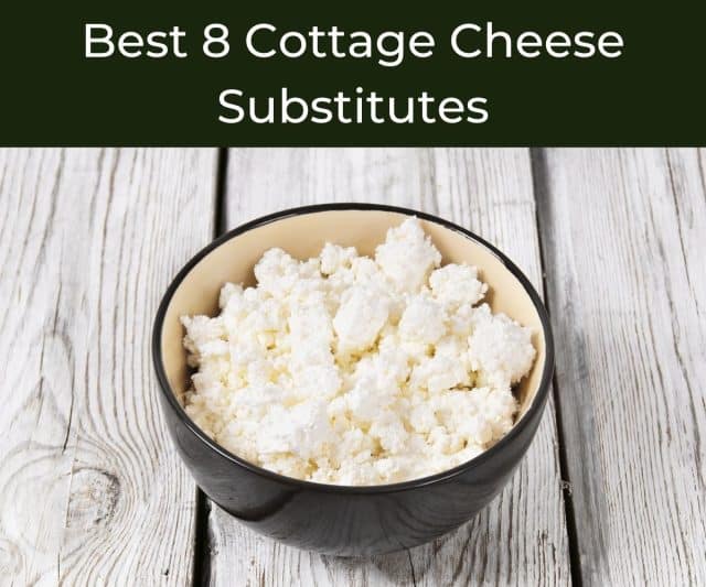 Substitute For Cottage Cheese In Recipes