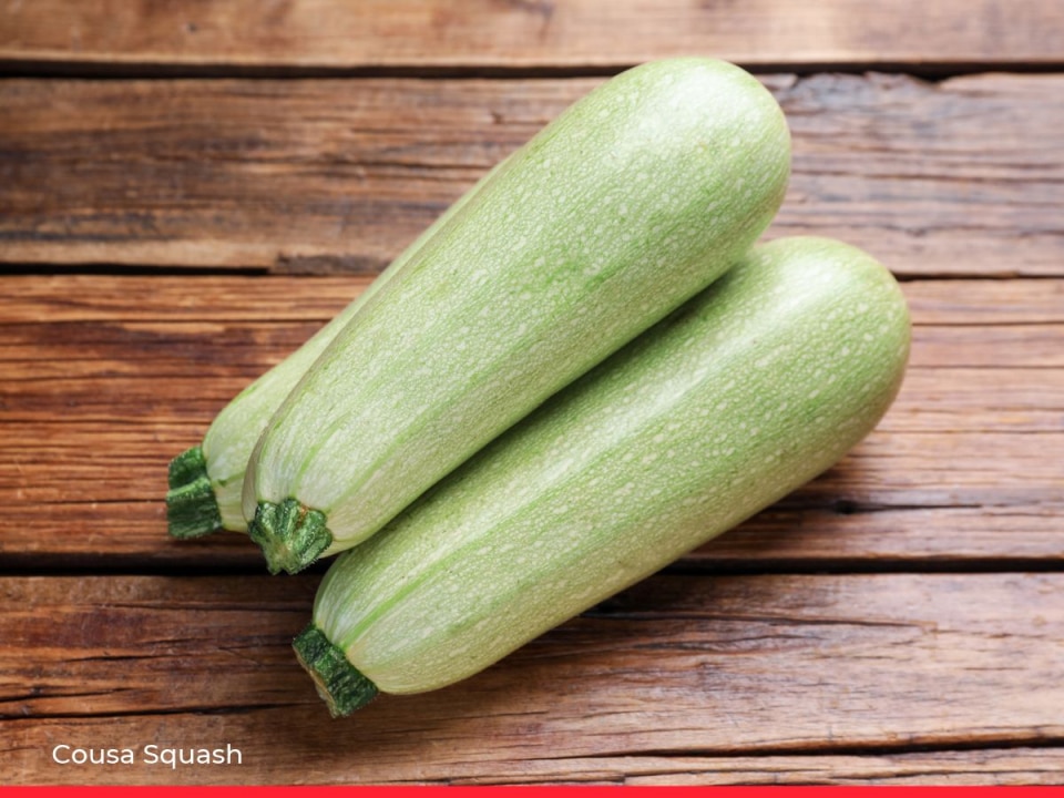 Cousa Squash