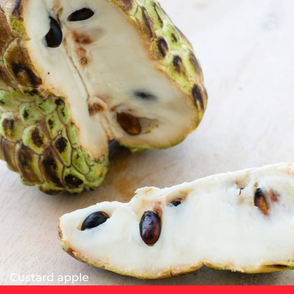 Custard apple