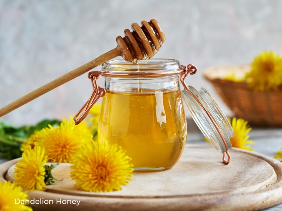 Dandelion Honey