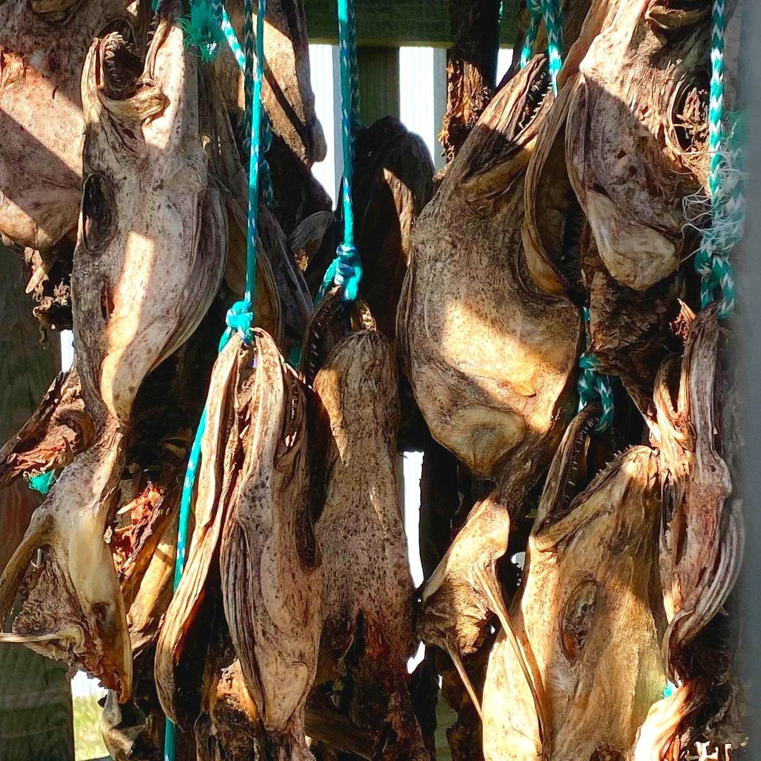 Icelandic Dry Fish Top 10 Most Popular Foods in Iceland - Chef's Pencil