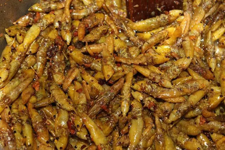 Fried Grasshoppers (Ensenene)