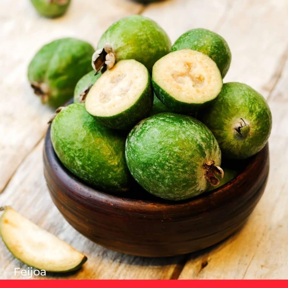 Feijoa