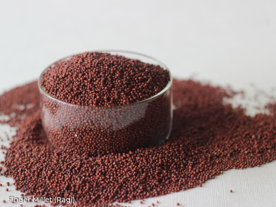 Finger Millet (Ragi)