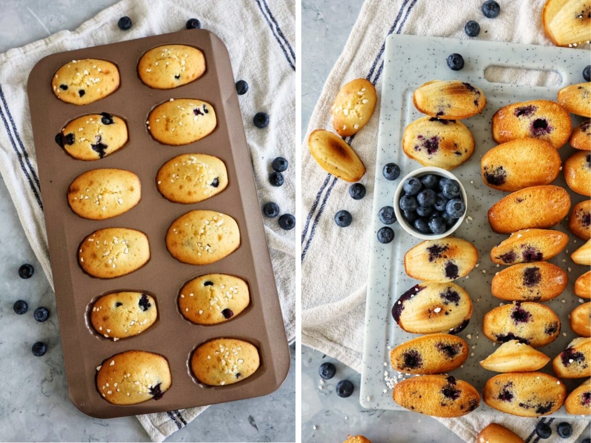 Fluffy Blueberry Madeleines