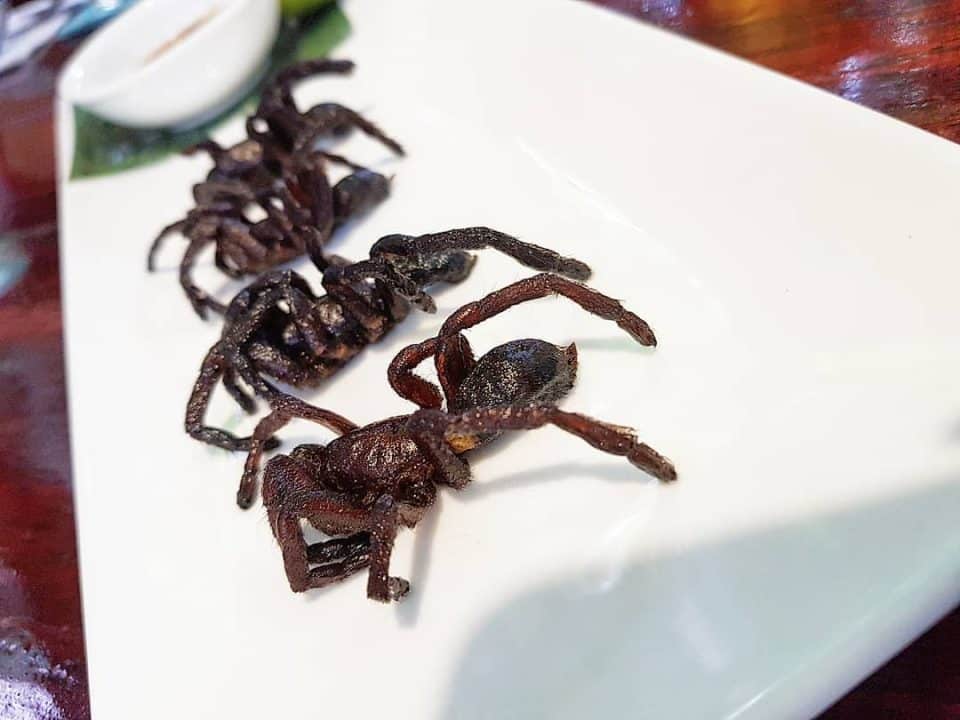 Fried Tarantula  - Cambodia