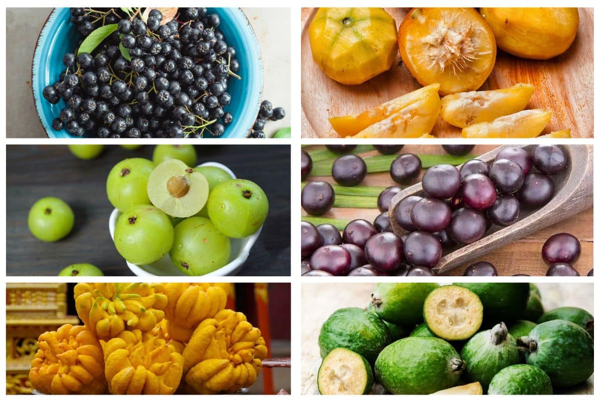 Fruit Starting with A