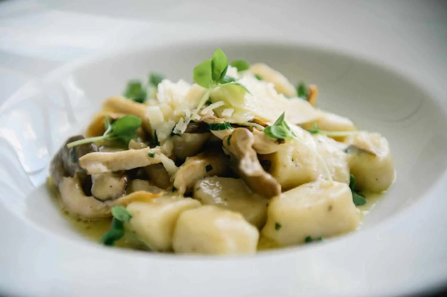 Wild Mushroom & Truffle Gnocchi Recipe by Chef Rodney Murillo 