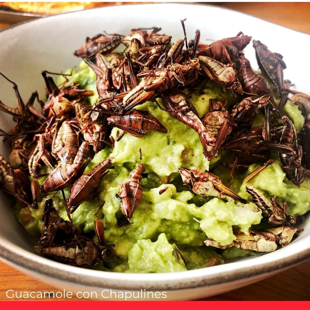 Guacamole con Chapulines