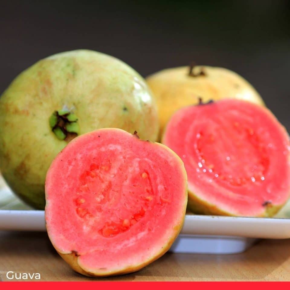 Guava