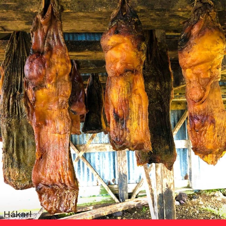 Hákarl (Decomposed Shark Carcass) – Iceland