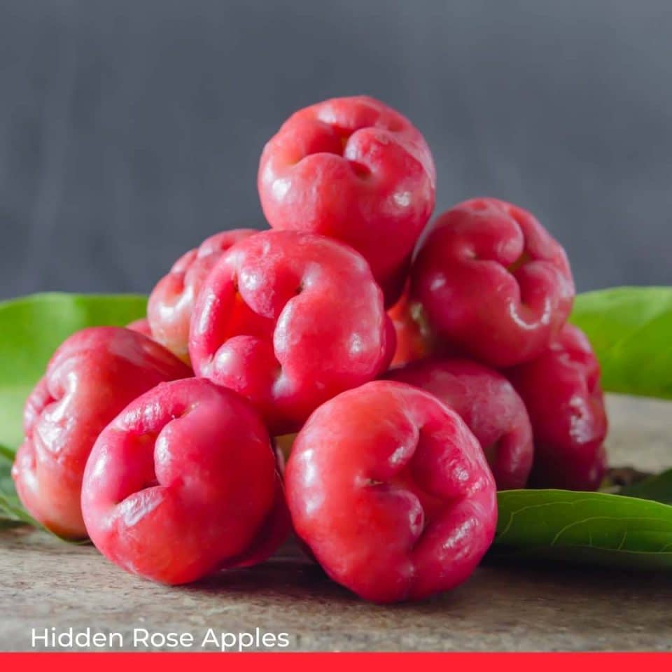 Hidden Rose Apples