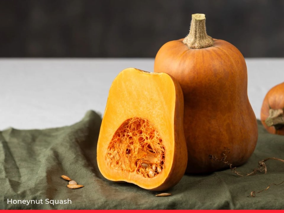 15 Types of Squash & Pumpkin and How to Cook Them
