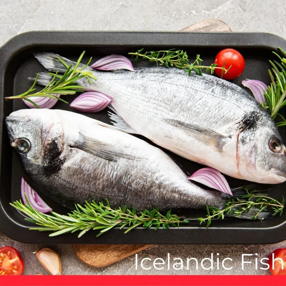 Icelandic Fish