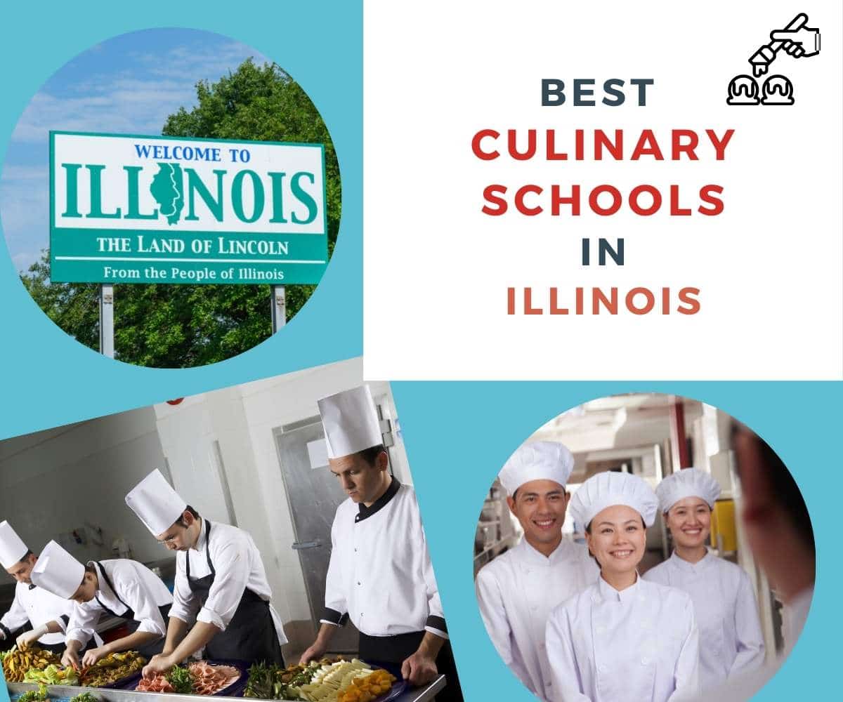 Illinois Culinary Schools