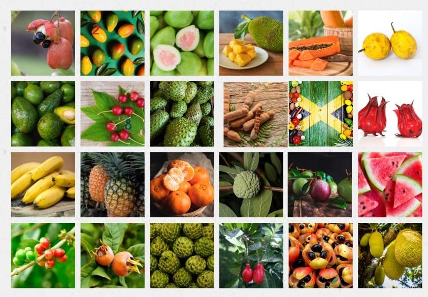 List of Jamaican Fruits