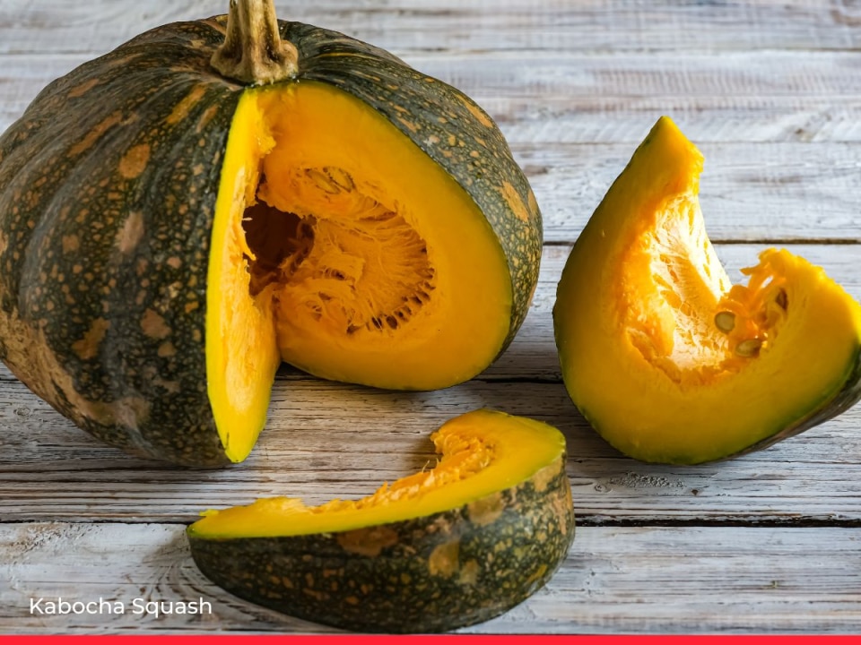 15 Types of Squash & Pumpkin and How to Cook Them