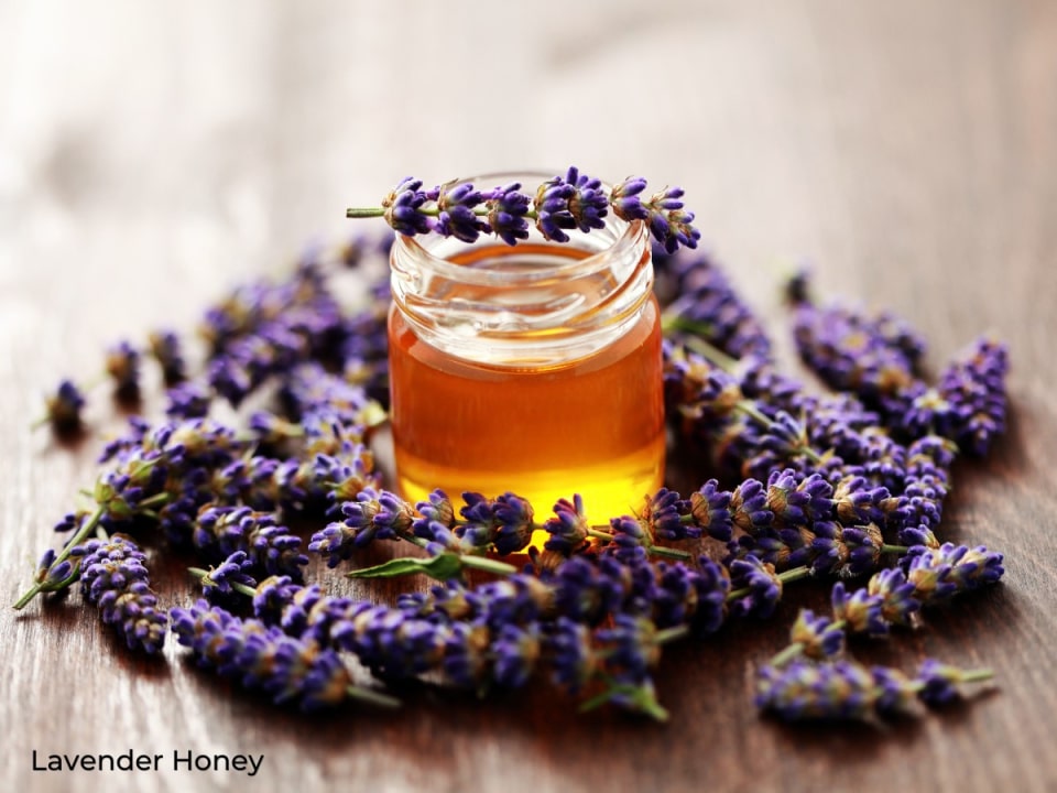 Lavender Honey