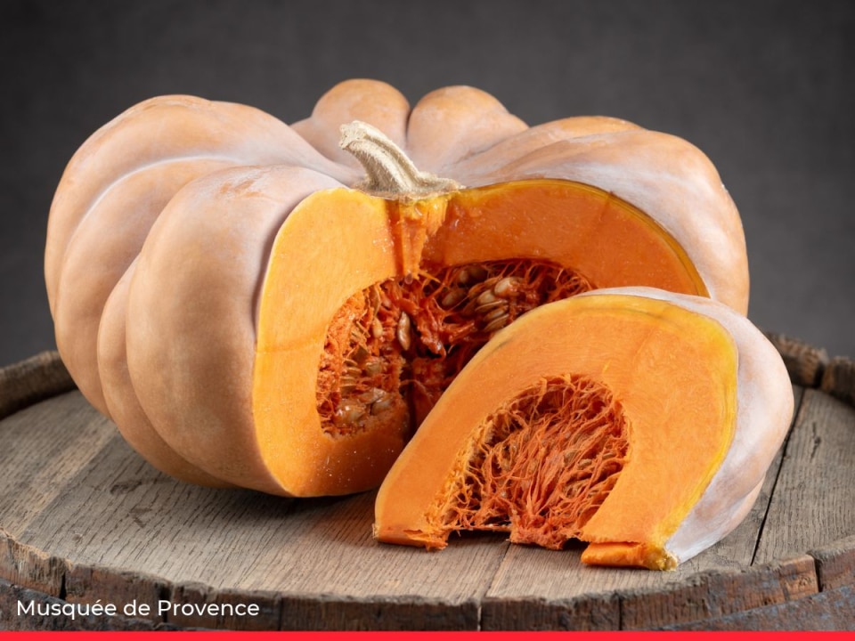 15 Types of Squash & Pumpkin and How to Cook Them