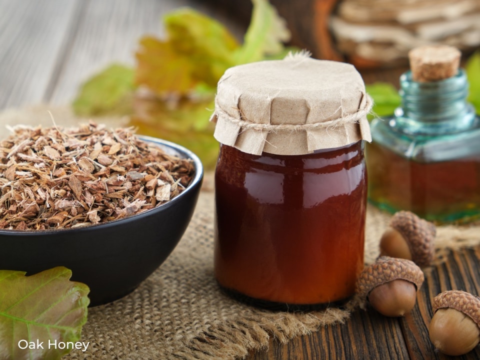 Oak Honey