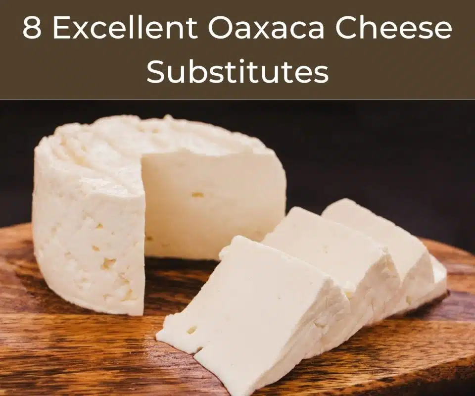 8 Excellent Oaxaca Cheese Substitutes Chef's Pencil