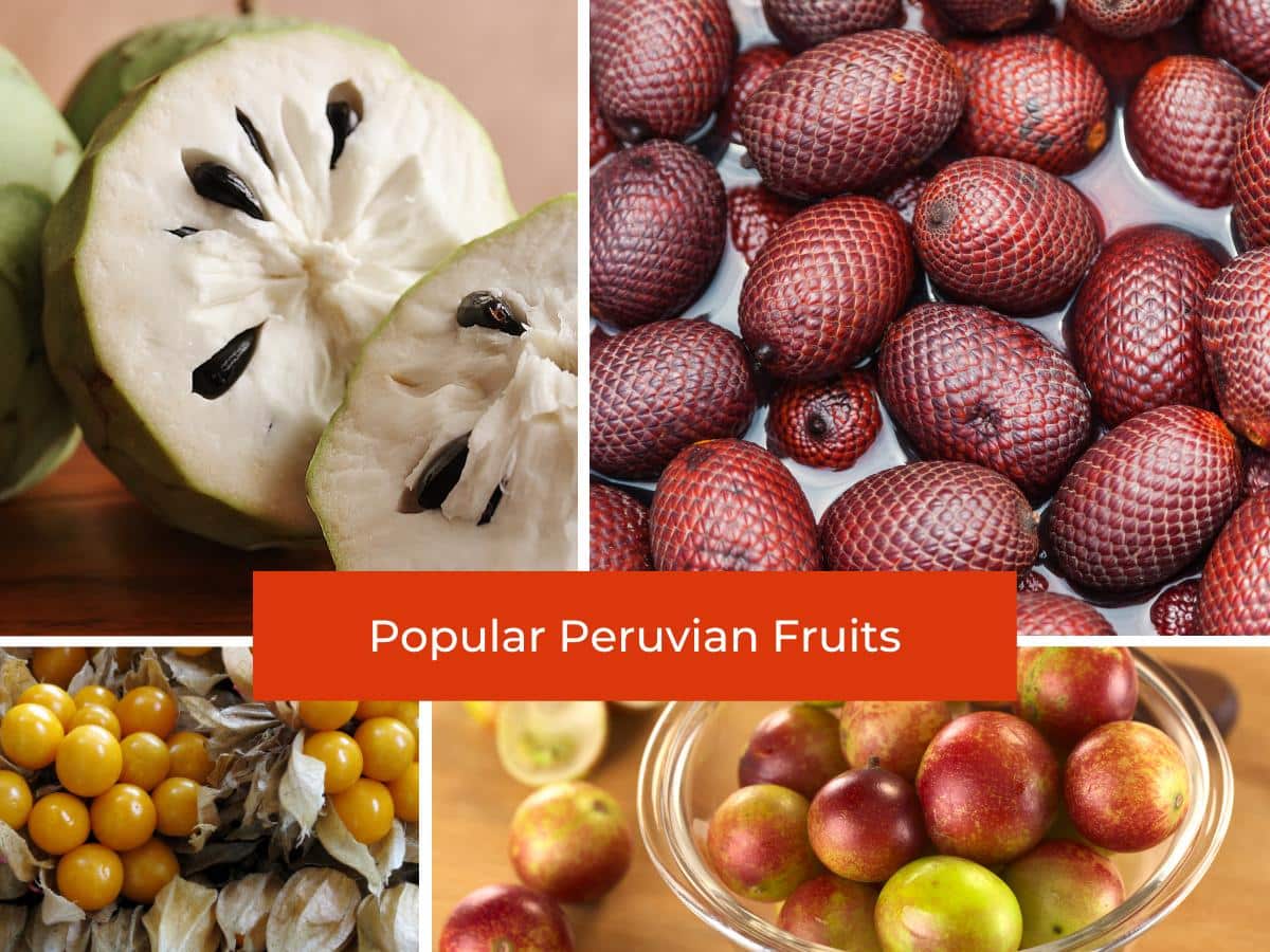 Peruvian Fruits