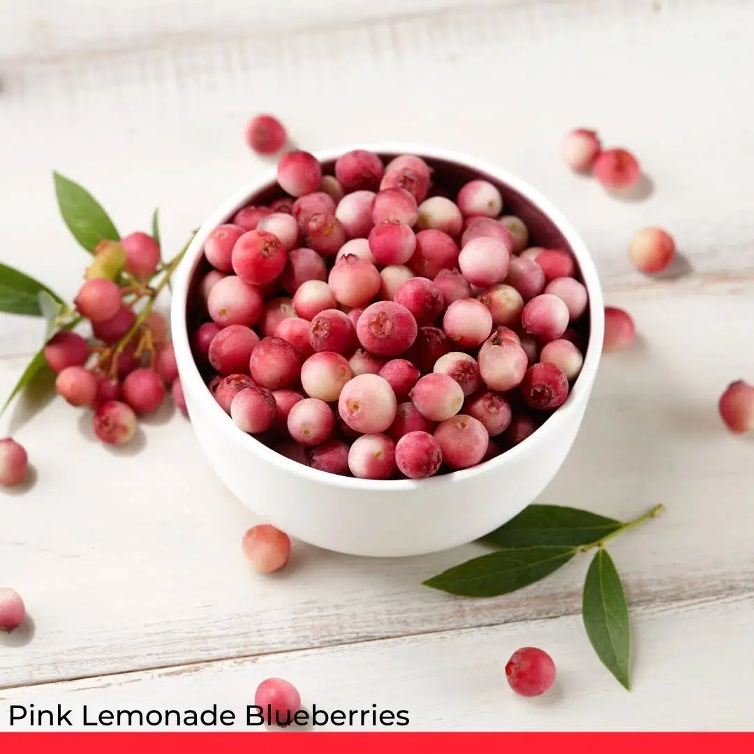 Pink Lemonade Blueberries