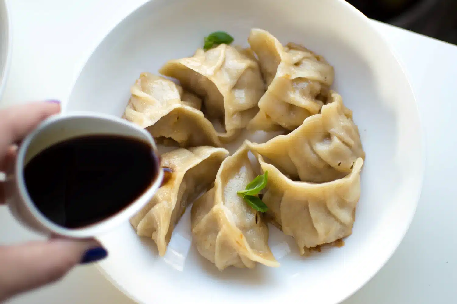 Pork Dumplings